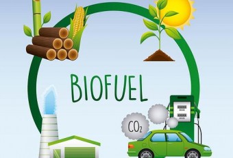 Tương lai của nhiên liệu sinh học